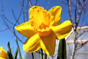 Similar image 2834320