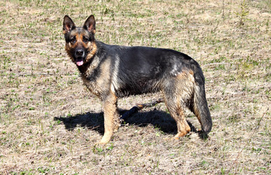 Similar image 2834321