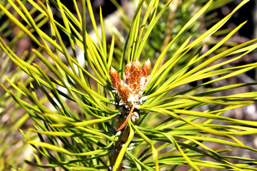 Similar image 2834322