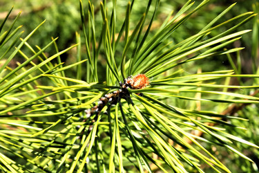 Similar image 2834324