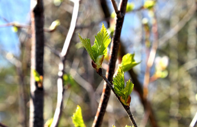 Similar image 2834325