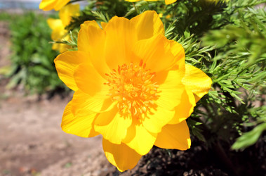 Similar image 2834327