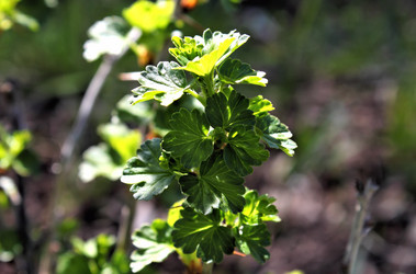 Similar image 2834328