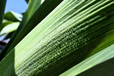 Similar image 2834329