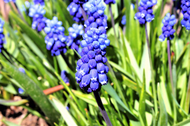 Similar image 2834330