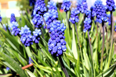 Similar image 2834331