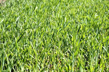 Similar image 2834333