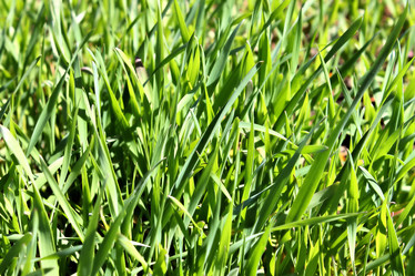 Similar image 2834334