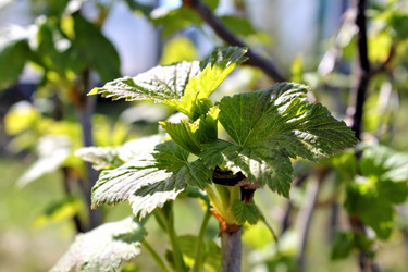 Similar image 2834336