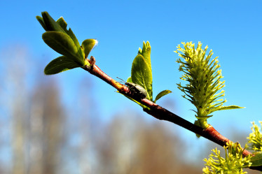 Similar image 2834337