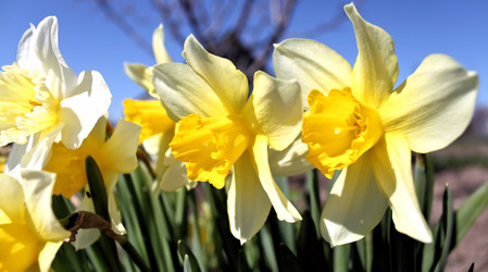 Similar image 2834358