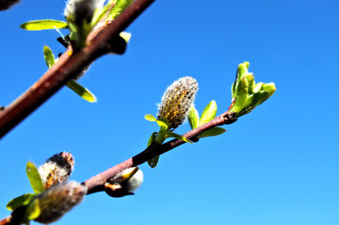 Similar image 2834360