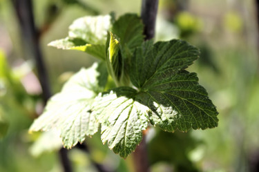 Similar image 2834361