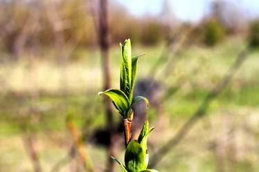 Similar image 2834362