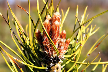 Similar image 2834363