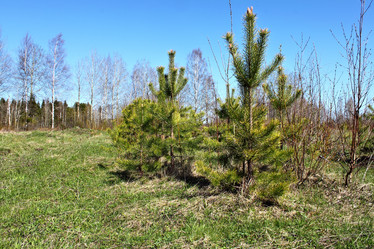 Similar image 2834364