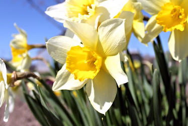 Similar image 2834366