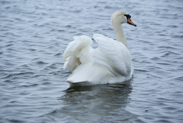 Similar image 2834509