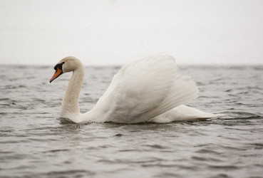 Similar image 2834511