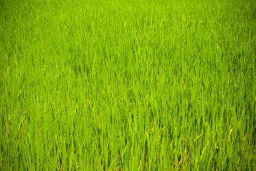 Similar image 2834515