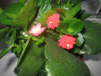 Similar image 2834535