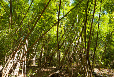 Similar image 2834537