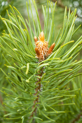 Similar image 2834546