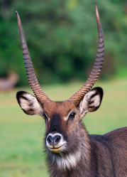 Similar image 2834560