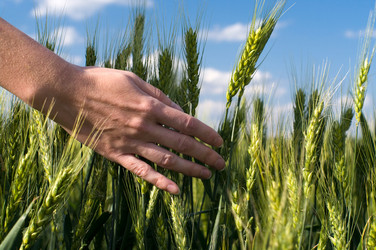 Similar image 2834567