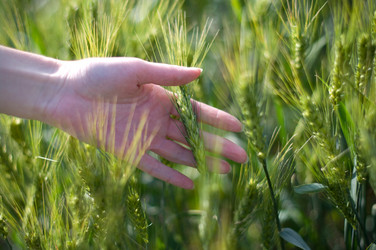 Similar image 2834591