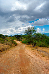 Similar image 2834602