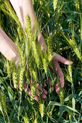 Similar image 2834630