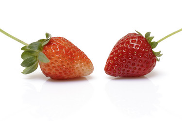 Similar image 2834754