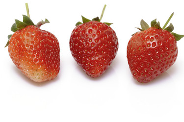 Similar image 2834757