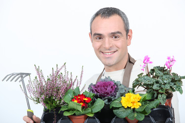 Similar image 2834963