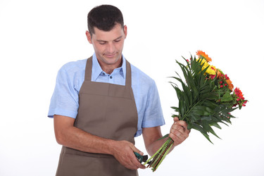 Similar image 2834975