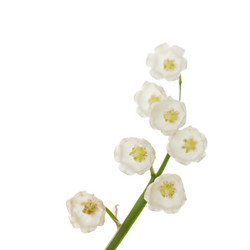 Similar image 2835699