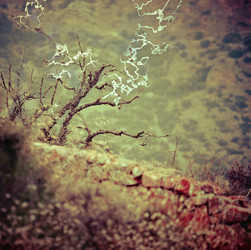 Similar image 2835727