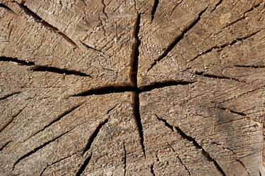 Similar image 2835810