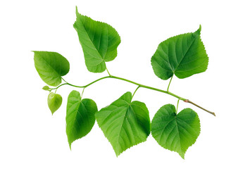 Similar image 2835816