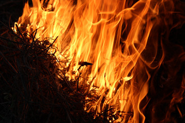 Similar image 2835822