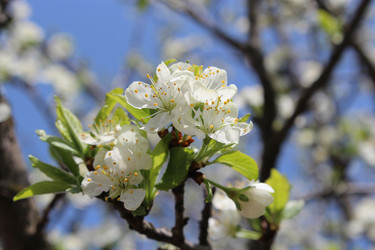 Similar image 2835824