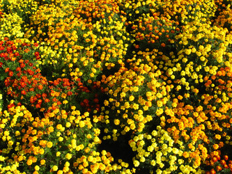 Similar image 2835834