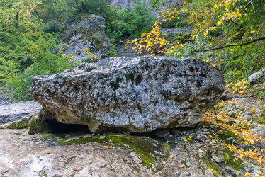 Similar image 2835839