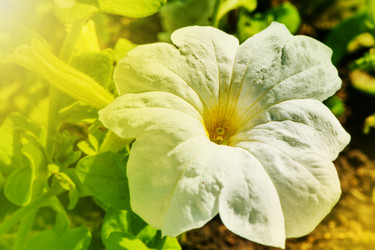 Similar image 2835846