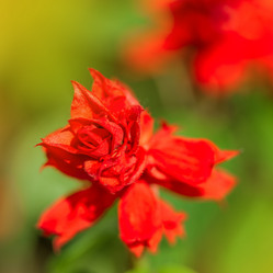 Similar image 2835848