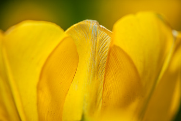 Similar image 2835850