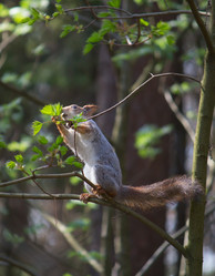 Similar image 2835853