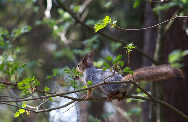 Similar image 2835854