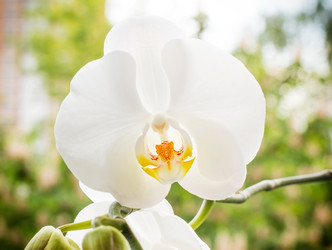 Similar image 2835856